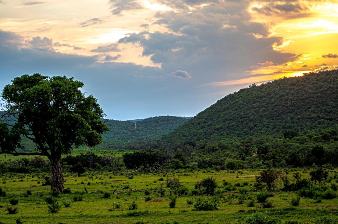 Laluka Safari Lodge - Welgevonden Game Reserve Luaran gambar